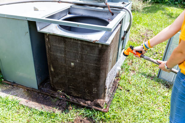 Best Professional Duct Cleaning Services  in Fox Lake, IL