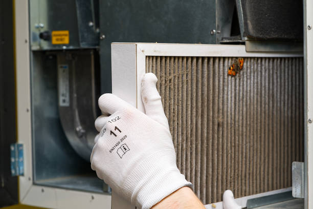 Best Air Duct Mold Removal  in Fox Lake, IL