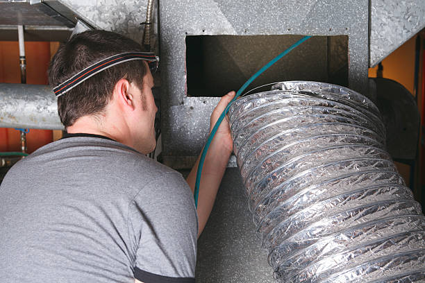 Best Professional Duct Cleaning Services  in Fox Lake, IL