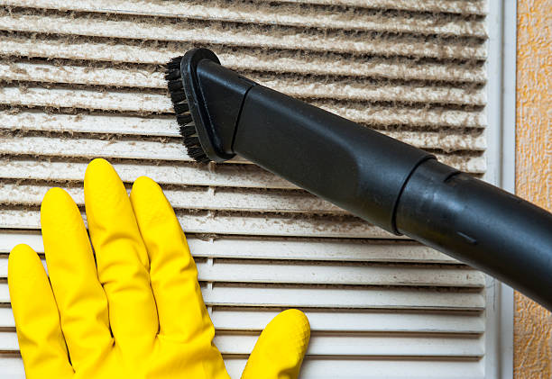 Best Affordable Air Duct Cleaning  in Fox Lake, IL